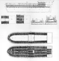 Plan des Inneren eines Sklavenschiffs, 1808, 1965