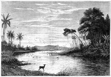 Eine Flusslandschaft in Venezuela, 1877