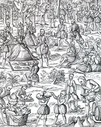 Ein königliches Picknick