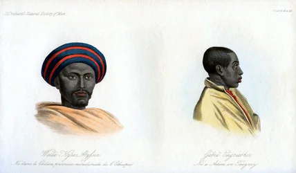 Abessinische Porträts, 1848