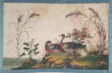 Album mit zwölf Vogelgemälden, 19. Jahrhundert