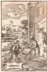 Tierfütterung: Frau kauft Fische bei einem Fischhändler, im Hintergrund befreien Männer Vögel aus ihren Käfigen und Jagdszene