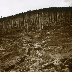 Elsass, um 1914-1918