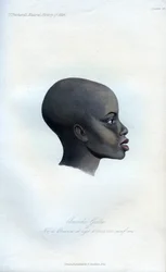 Amochi Galla, ein Porträt eines Galla, 1848