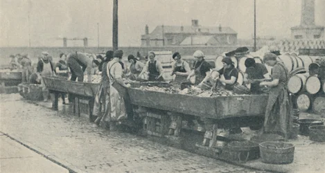 Ein wichtiger Teil der Industrie. Schottische Mädchen beim Ausnehmen in Yarmouth, 1937