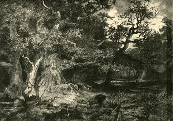 Ein alter deutscher Wald, 1890