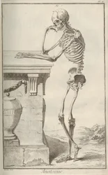 Anatomie. Aus der Encyclopédie von Denis Diderot und Jean Le Rond d