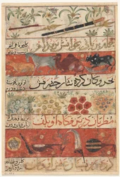 Tiere, Edelsteine, Münzen und Musikinstrumente recto..., ca. 1341