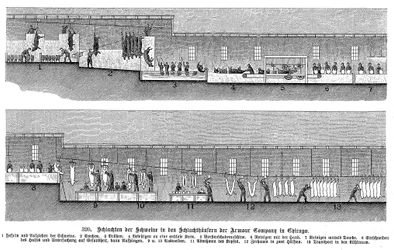 Schlachthof der Armour Company, Chicago, Illinois, USA, 1895