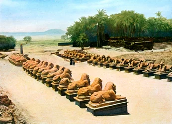 Allee der widderköpfigen Sphinxe, Tempel von Amun-Re, Karnak, Luxor, Ägypten, 20. Jahrhundert