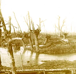 Schlachtfeld, um 1914-1918