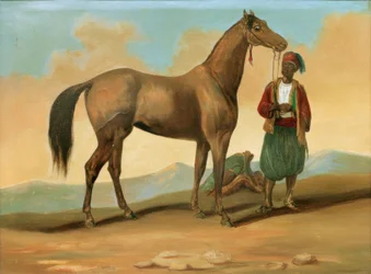 Beduine mit Araberpferd