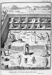 Imkerei, 1775
