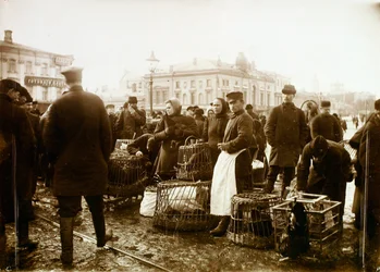 Vogelmarkt, Trubnaya-Platz, Moskau, Russland, 1908