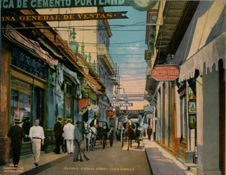 Calle O