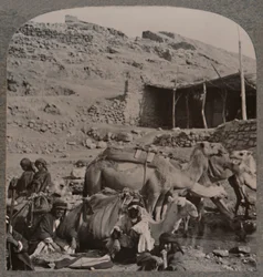 Kamelkarawane aus Jerash, Wasserstelle am Brunnen von Elisha, um 1900