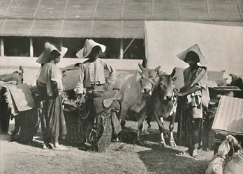 Karawanenszene mit Shans in Bhamo, 1900