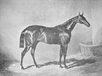 Charles XII, Gewinner des St. Leger 1839