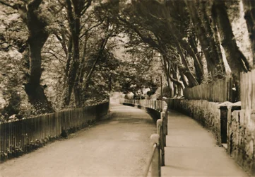 Chine Avenue, Shanklin, I.W., um 1920