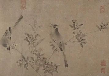 Chinesische Bulbuls auf blühendem Kirschapfel