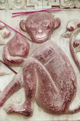 Chinesisches astrologisches Zeichen. Weißer Wolkentempel, Peking, China