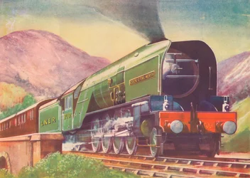 Die Lokomotive Cock O
