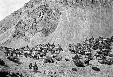 Konvoi von Maultiertreibern am Fuße der Cordillera, Südamerika, 1895