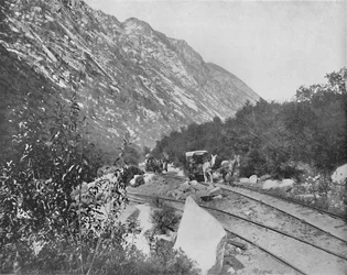 Cottonwood Canyon, Utah, ca. 1897