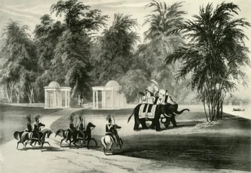 Elefanten und Leibwache im Barrackpore Park, 1820, 1925