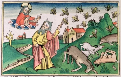Exodus 8:20-32: Moses und der Fliegenschwarm, eine der sieben Plagen Ägyptens