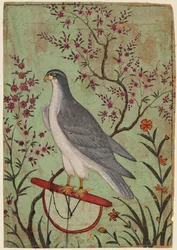 Falke auf einer Stange, ca. 1610