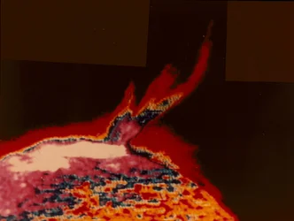 Falschfarbenbild eines Sonnensturms von Skylab, 1973