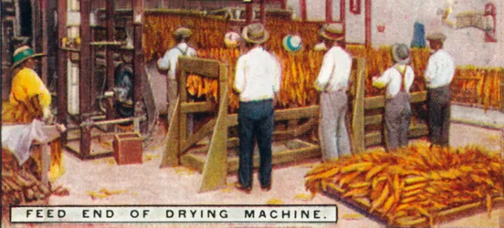 Zufuhrende Seite der Trockenmaschine, 1926