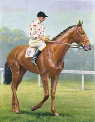 Fackeln, Jockey: R.A. Jones, 1939