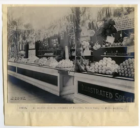 Florida Gartenbauausstellung im Palast der Gartenbaukunst auf der Weltausstellung 1904