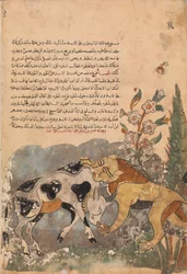Folio aus einem Kalila wa Dimna, 18. Jahrhundert