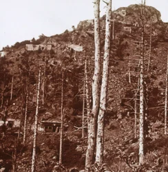 Deutsche Linien, ca. 1914-ca. 1918
