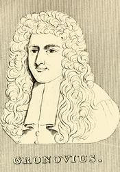 Gronovius, 1690-1762, 1830
