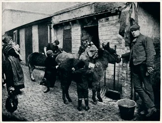 Pflege von Karreneseln, London