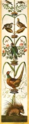 Groteske Malereien aus den Loggien des Vatikans, Rom, Italien, 1928