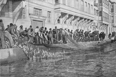 Einholen eines Grippes von 15000 Fischen in Emirgian am Bosporus