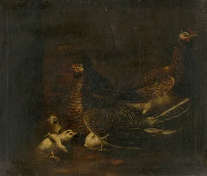 Henne mit Küken