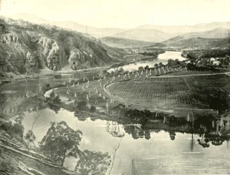 Hopfengärten in Tasmanien, 1901