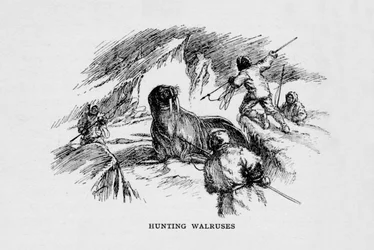 Walrossjagd, ca. 1927, 1928