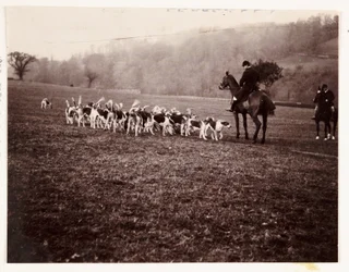 Jäger und Hunde, um 1905