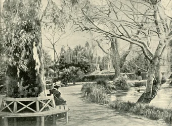 Im Botanischen Garten, Adelaide, 1901