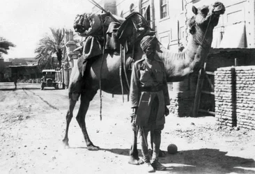 Indischer Kamelreiter, Bagdad, 1918