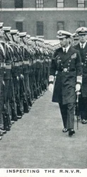 Inspektion der RNVR, 1936-1937