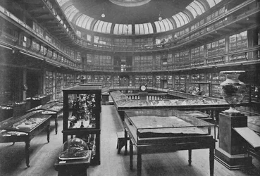 Innenraum des Geologischen Museums, Jermyn Street, 1904