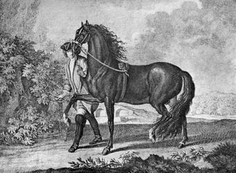 Italienisches neapolitanisches Pferd, 1722, 1938